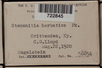 Image Associated With the Occurence